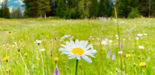 Гороскоп на 6 липня для всіх знаків зодіаку: чого очікувати у напружений астрологічний аспект