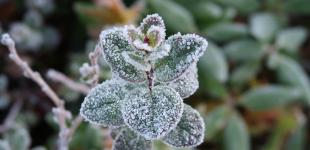 Местами до 9 градусов мороза: какой будет погода в воскресенье, 24 октября