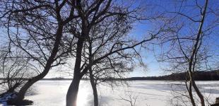 Снег и морозы до -12°: какой будет погода в Украине 10 января – прогноз 