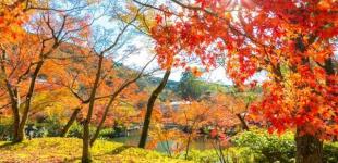 Синоптики спрогнозировали, когда в Украине снова потеплеет