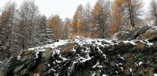 Погода на 24-25 січня: які області України стануть найтеплішими та де пройдуть сніг і дощ