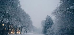 Готуйтеся до морозу: прогноз погоди до кінця 2025 року