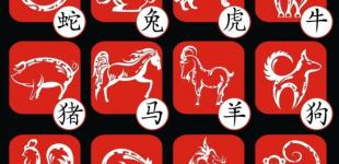 Ці китайські знаки Зодіаку вперше за довгий час відчують справжній підйом