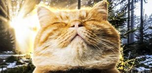 Морози йдуть на спад: синоптикиня назвала дату, коли до України прийде відлига