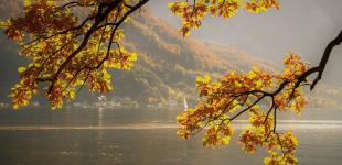 Синоптики розповіли, де 13 листопада буде сонячно, а де дощитиме