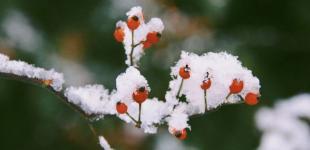 В Україні різко зміниться погода: що прогнозують синоптики на 28 грудня