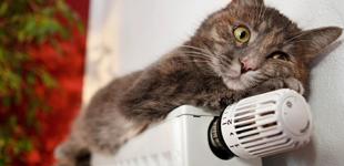 Кияни заборгували 7 млрд грн за тепло і гарячу воду