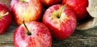 Украина бьет рекорды по экспорту яблок