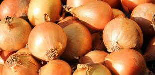 Цена на лук в Украине снизилась в четыре раза