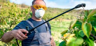 Как защитить урожай от вредителей
