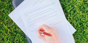 Как с помощью экологии расширить возможности бизнеса