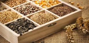 Как выбрать посевные семена?