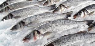 В Україні подорожчала морожена риба