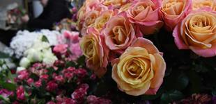 Выращивание цветов как бизнес