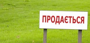 Больше половины украинцев не одобряют продажу земли