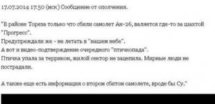 В Донецкой области сбили пассажирский самолет. Гиркин радостно объявил о причастности к «птичкопаду»