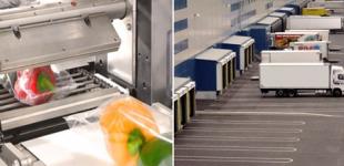 Производители упаковочного оборудования: тенденции и технологии упаковочного бизнеса