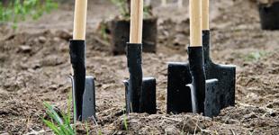 Семена, удобрения, садовый инвентарь: купить в магазине «Фермер Центр»