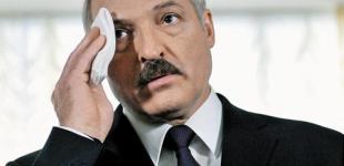Белорусский сценарий: чему Виктор Янукович может поучиться у Александра Лукашенко