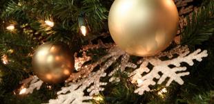 В КГГА рассказали, как будут развлекать киевлян и гостей в новогоднюю ночь