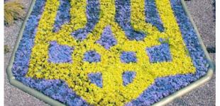 Главные события и разочарования в жизни независимой Украины