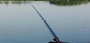 Теневой рынок рыбы в Украине оценили в 6 миллиардов