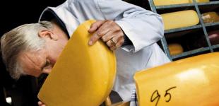 Украина увеличила импорт сыров на 30%