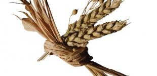 Эксперты ожидают падения цен на зерно нового урожая