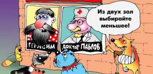  Кто «выстрелит» на местных выборах: в украинскую политику готовы войти новые политсилы