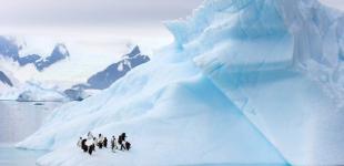 Лід на Землі тане рекордними темпами