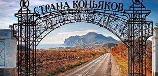 Окупанти в Криму продали винзавод 