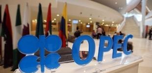 В ОПЕК назвали объемы сокращения добычи нефти