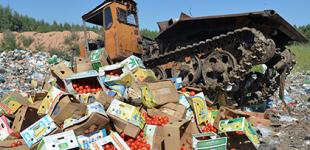 В РФ уничтожили почти 11 тысяч тонн санкционной еды с 2015 года