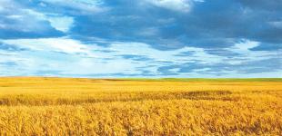 Bloomberg поместил Украину в топ-50 инновационных экономик мира