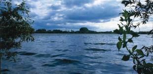 В Україні на 20% зросла кількість загиблих на воді. З початку року 640 загиблих, - МВС