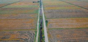 Почти 70% украинцев уверены, что олигархи скупят большую часть земель