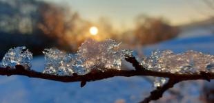 Коли прийде весна: 5 днів у кінці січня, які 