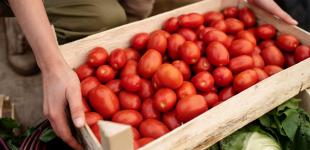 В Україні різко змінилися ціни на популярний овоч: що відомо