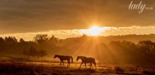 Що зірки нам пророкують: гороскоп на 13–19 жовтня 2025 року