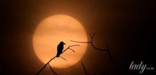 Сонце в Козорозі від 21 грудня до 20 січня: що на нас чекає в цей час