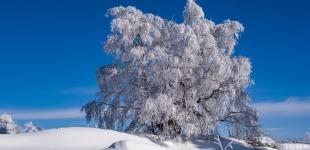 Гороскоп на 22 грудня для всіх знаків зодіаку: день, коли