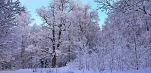 Синоптики попереджають про небезпеку: де відчутно погіршиться погода вихідними