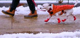 В Україні оголошено червоний рівень небезпеки: де вдарять морози до 30°
