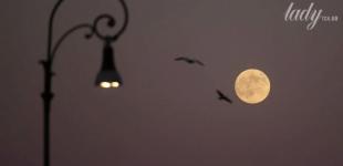 Місячний гороскоп: що можна і чого не можна робити 29 грудня