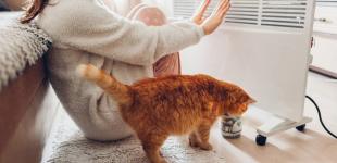 Київ відкладає опалювальний сезон: коли дадуть тепло