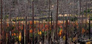 Гороскоп на 20 листопада для всіх знаків зодіаку: день, коли реальність може спотворюватися