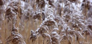 Гороскоп на 8 січня для всіх знаків зодіаку: день, коли фінансові операції будуть успішними