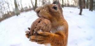 Найхолодніша зима?: синоптикиня пояснила, чи справді Україну накриють сильні морози і сніг