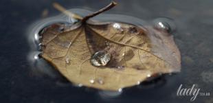 На Україну насуваються дощі та шквали вітру: де очікувати негоди 12 жовтня