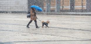 В Україні 31 грудня очікується незначний сніг, подекуди сильний вітер та ожеледиця